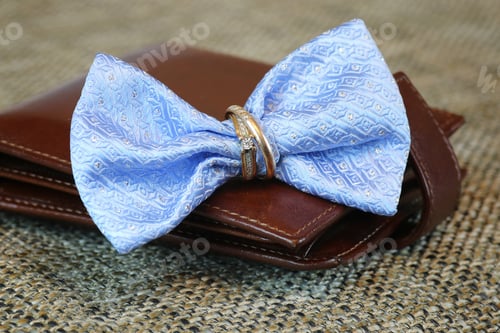 Preview: Butterfly To The Costume And Accessories