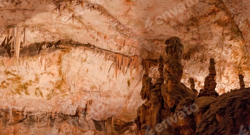 Preview: Amazing Postojna Cave, Slovenia