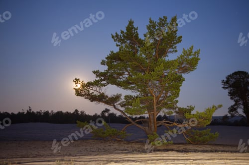 Preview: Baikal Lake. Summer Night On Olkhon Island
