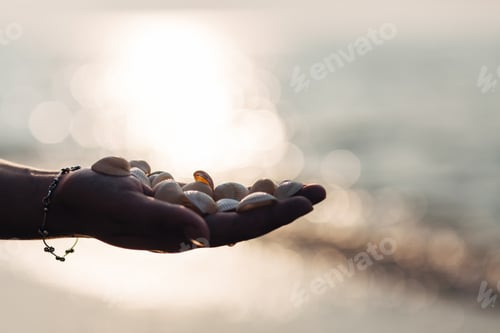Preview: Shells On A Female Hand On The Background Of Sea Waves At Sunrise