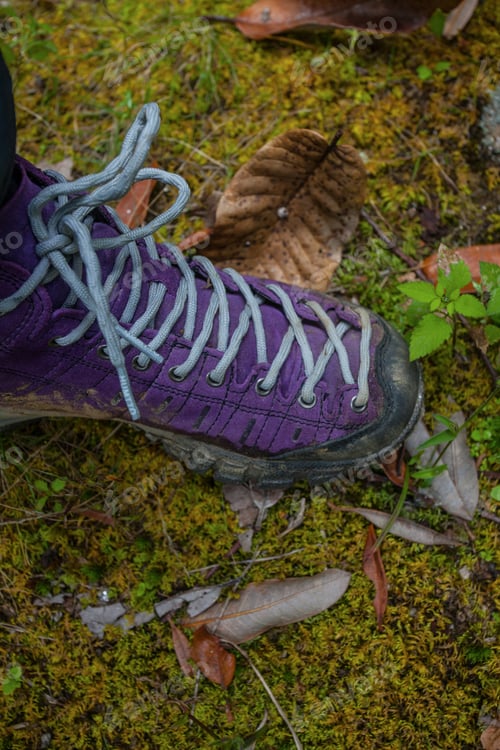 Preview: Violet Trekking Shoes On The Nature. Nepal