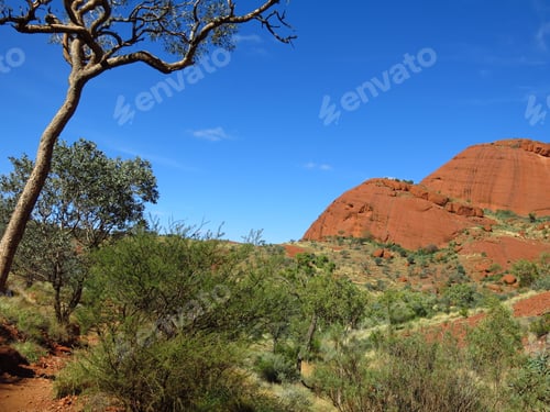 Preview: Kings Canyon, Northern Territory, Australia