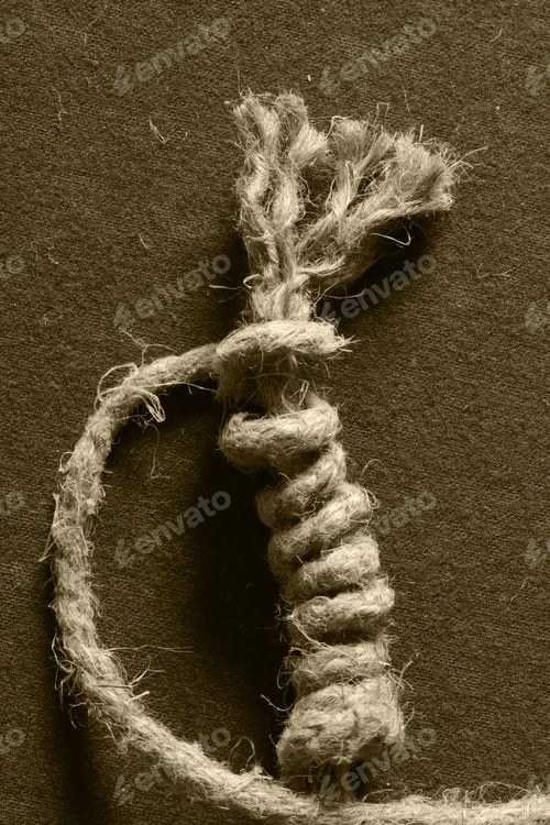 Preview: Braided Rope Loop Flax
