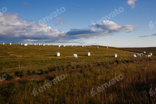 Preview: Field With Hay Rolls, Icelandic Nature