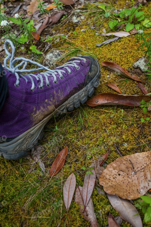 Preview: Violet Trekking Shoes On The Nature. Nepal