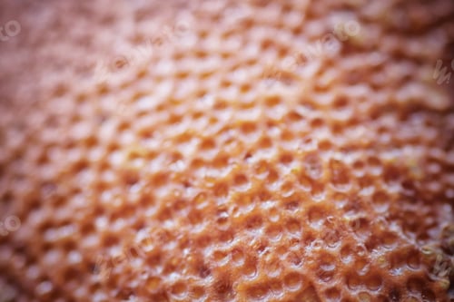 Preview: Background Texture Of An Orange