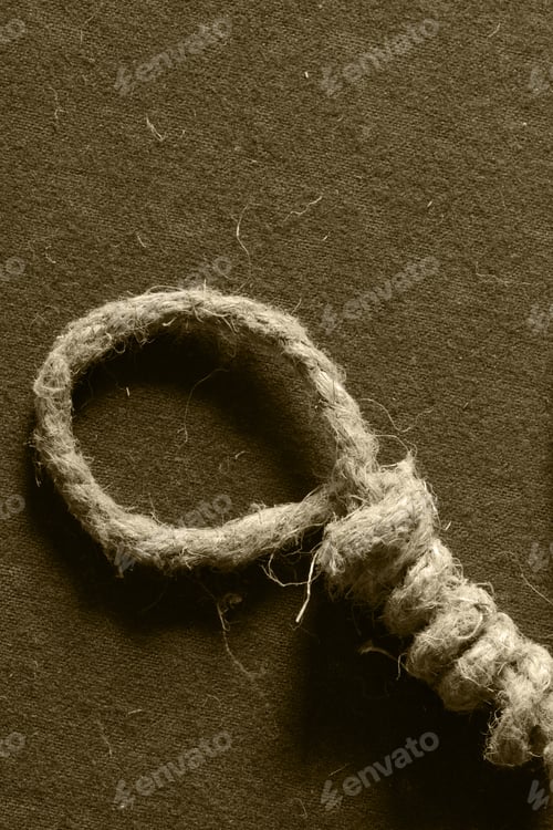 Preview: Braided Rope Loop Flax