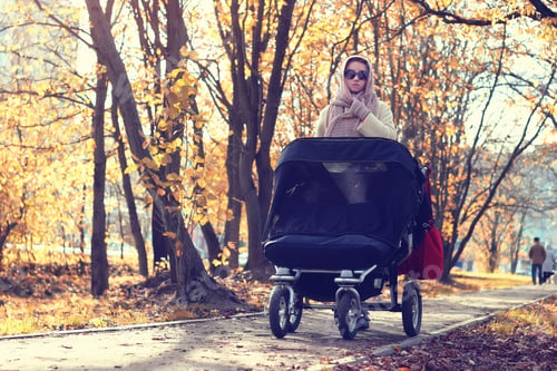 Preview: Mother In A Park Stroller Autumn