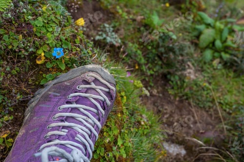 Preview: Violet Trekking Shoes On The Nature. Nepal