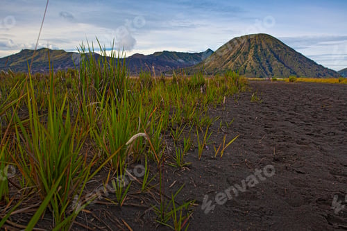 Preview: Bromo Mountain As Part Of Bromo Tengger Semeru National Park Loacated In East Java, Indonesia
