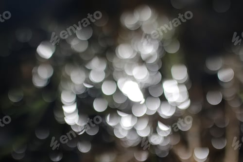 Preview: Glare Bokeh In Water In Sunny Spring Day