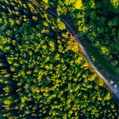 Preview: Aerial View Of Forest In Mountains, Germany. Photo Taken With Drone
