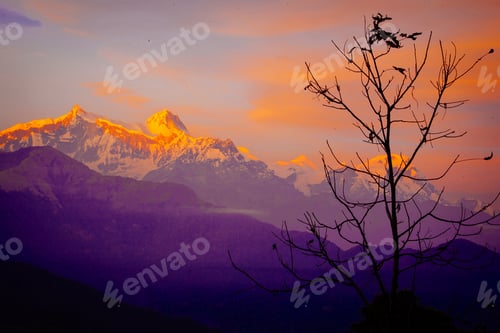 Preview: Beauty Pink Sunset On Himalaya Mountain