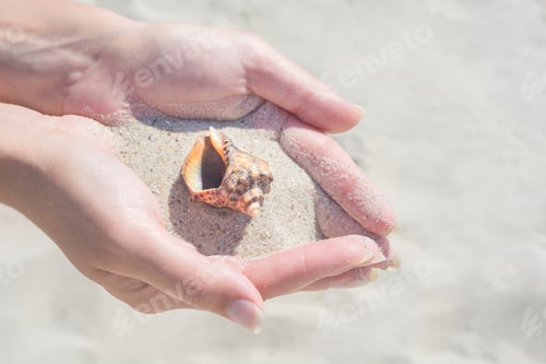 Preview: Seashell In The Young Woman'S Hands. Summer Background With Yellow Sand.