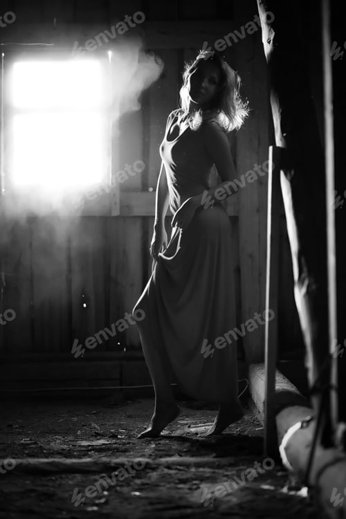 Preview: Silhouette Of A Beautiful Girl In A Dress On The Background Of A Window In An Old House