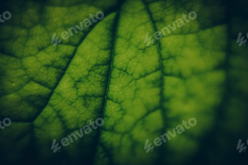 Preview: Close Up Of Green Leaf Texture