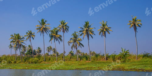 Preview: Beautiful Backwater Destinations Of Kerala, India.