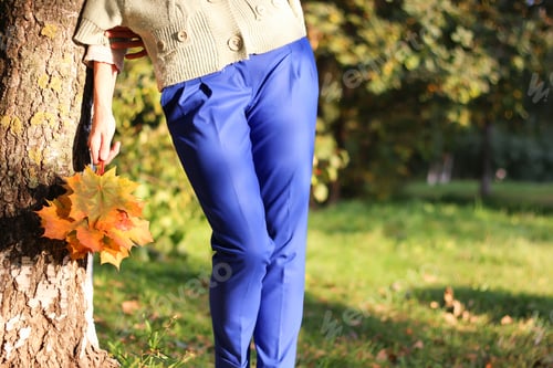 Preview: Redhead Girl Autumn Leaves