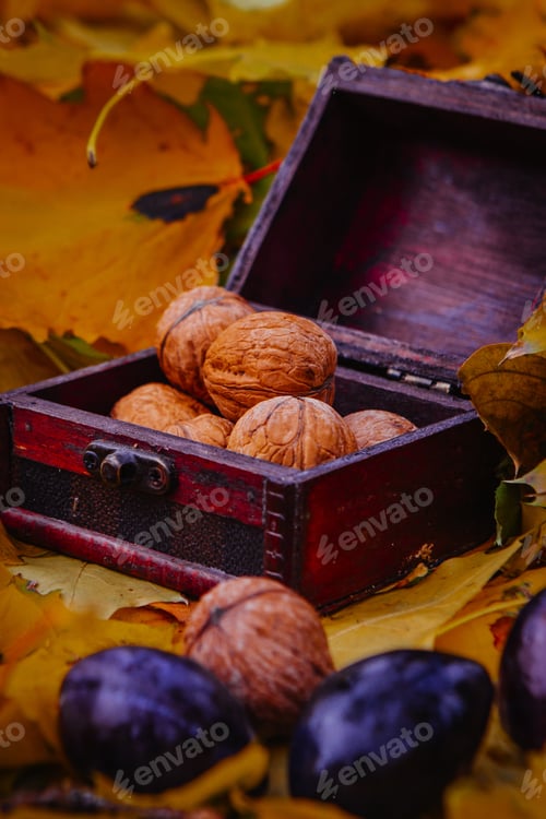 Preview: Autumn Border From Walnuts And Maple Leaves On Wood