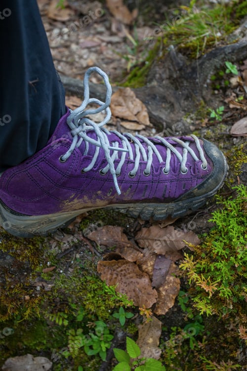 Preview: Violet Trekking Shoes On The Nature. Nepal
