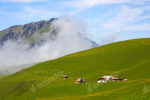 Preview: Foggy Mountain Scenery In Germany With Pine Trees