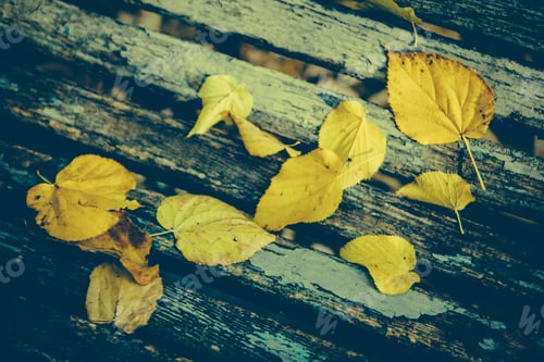 Preview: Autumn Leaves Over Wooden Background