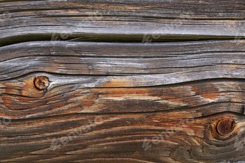 Vorschau: Baumstämme mit Holzstruktur