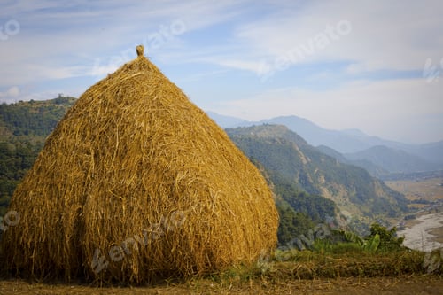 Preview: Himalayan Village , Hays And Rice Field, Nepal