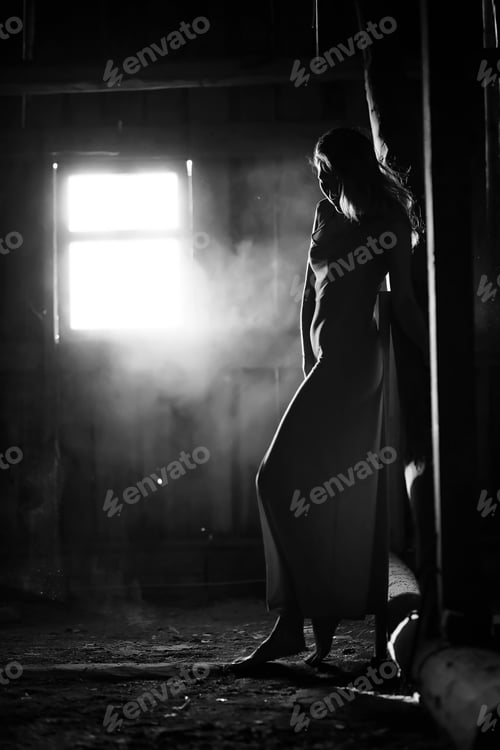 Preview: Silhouette Of A Beautiful Girl In A Dress On The Background Of A Window In An Old House