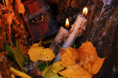 Preview: Beautiful Natural Decor For Autumnal Holiday, Old Dry Maple Leaves, Warm Candle Light