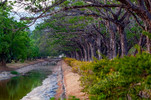 Preview: Beautiful Park Legenda In Kuah, Langkawi Island , Malaysia