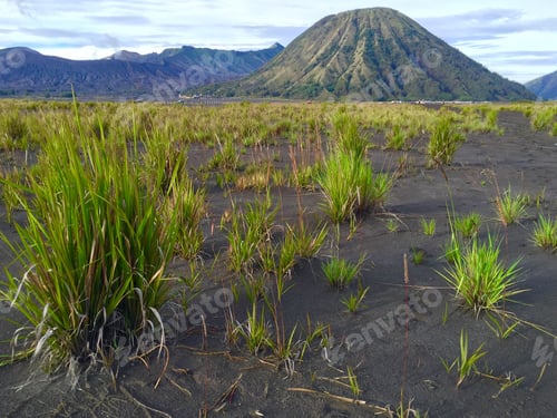 Preview: The Way To The Crater Bromo, East Java, Indonesia