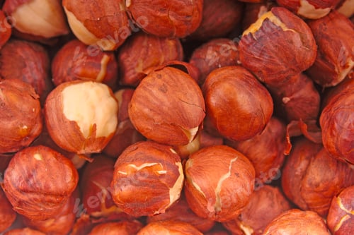 Preview: Hazelnuts Background