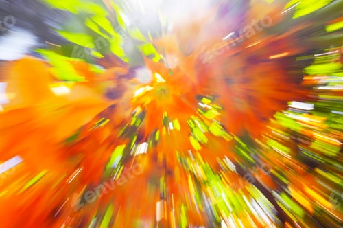 Preview: Bright Orange Angels Trumpet Flower On The Tree, Optical Effect Blur