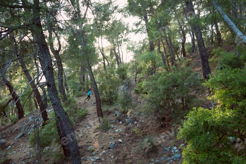 Preview: A Woman Runs Along A Mountain Trail. Runner Is Training In The Forest. Girl Jogging In The Park