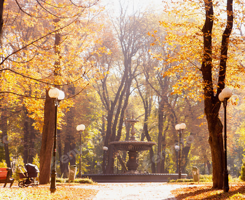 Preview: Autumnal Walkway