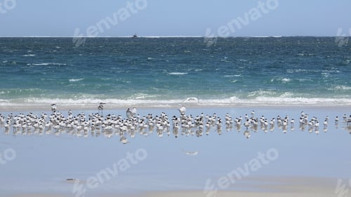 Preview: Coral Bay, Western Australia