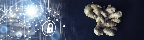 Preview: Ginger Root Whole And Sliced. Ginger Tea With Lemon On The Dark Background. Fresh Ginger Root On