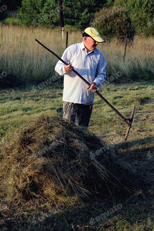 Preview: Rakes Hay Field Landscape