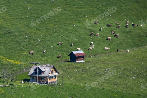 Preview: Alpine Village, Swiss Alps Landscape