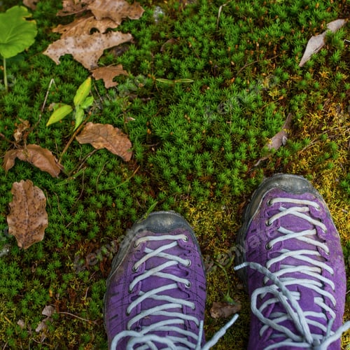 Preview: Violet Trekking Shoes On The Nature. Nepal