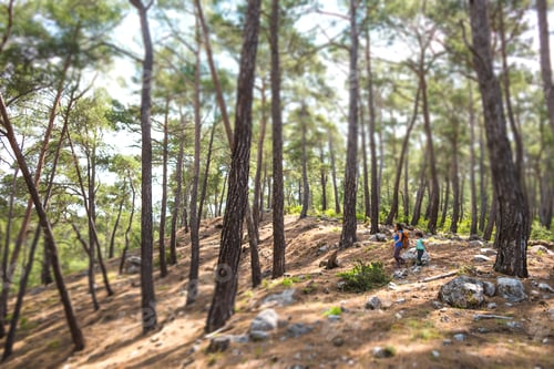 Preview: A Woman Walks With Her Son Through The Forest, Boy With His Mother Go Hiking, A Child With A