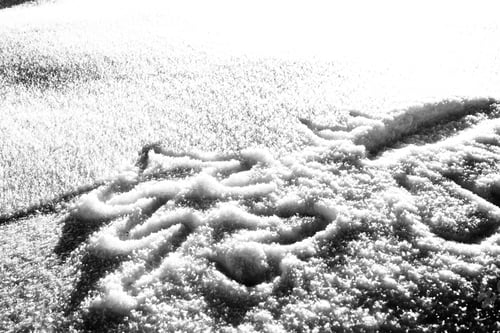 Preview: Hand Christmas Tree Drawing On Snow