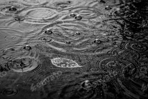 Preview: Autumn Leaf In Puddle