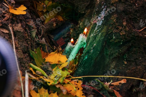 Preview: Beautiful Natural Decor For Autumnal Holiday, Old Dry Maple Leaves, Warm Candle Light