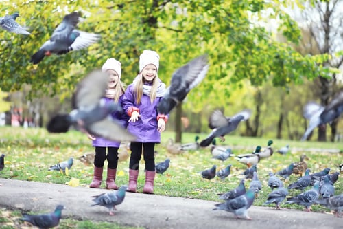 Preview: Children For A Walk In Autumn Park. Leaf Fall In The Park. Family. Fall. Happiness.