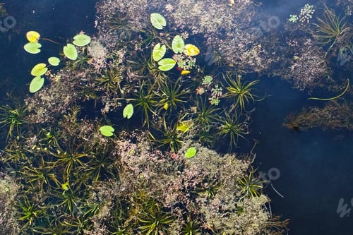 Preview: Top View Of River Near Kiev, Ukraine, - Taken With Drone