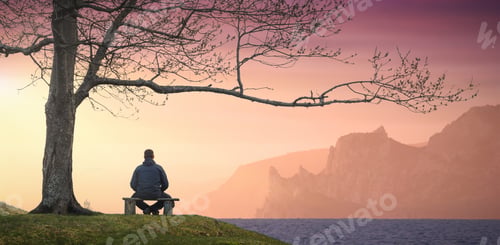 Preview: Man Sitting On A Wooden Bench Under The Big Tree And Enjoy Colorful Sunset Above The Sea.
