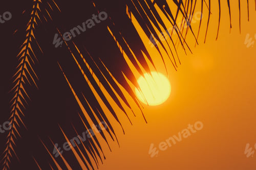 Preview: Pal And Sun , Sunset Time