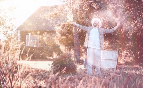 Preview: Man Farmer Watering A Vegetable Garden In The Evening At Sunset